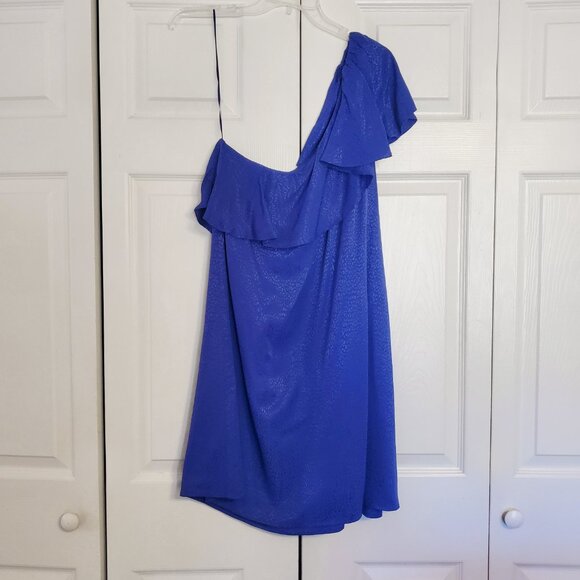 Anthropologie One Shoulder Ruffle Leopard Cheetah Textured Mini Dress - Picture 4 of 7